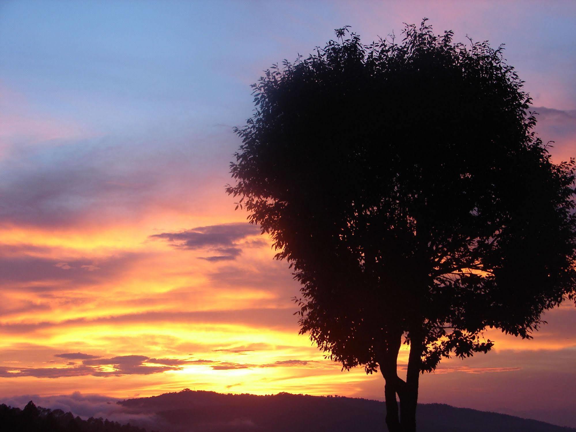Blusalzz Escapade Anant Rasa Resort - Ranikhet Shitlakhet Eksteriør billede